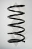 SPIDAN 55534 Coil Spring